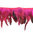 Federborte / Federband 15cm multicolor fuchsia
