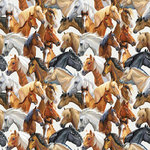 Canvas Horses